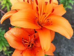 -长春公园(普阳街道)