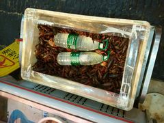 -老梅园大虾城(河西店)