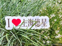 -上海德星奔驰(江杨南路店)