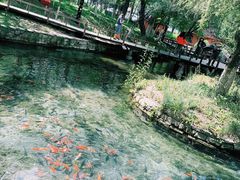 -水磨沟公园