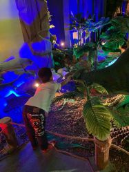 点击看大图 -恐龙探索乐园(磁器口店)