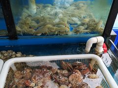 水产区-老东镇啤酒屋海鲜加工·蒸汽海鲜·海鲜烧烤(台东店)