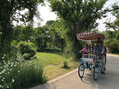 -鹅湖玫瑰文化园