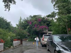 -浣花锦绣(杜甫草堂店)