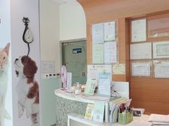 -瑞派申生动物医院·24H夜诊·国际动物医疗中心·骨外科(吴中路店)