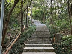 -小南山公园