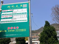 -枸杞岛