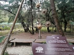 -北海金海湾红树林生态旅游区