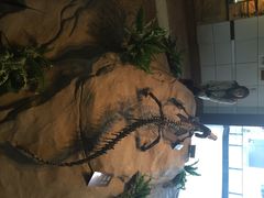 恐龙博物馆-自贡恐龙博物馆