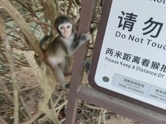 -南湾猴岛+椰田古寨一日游