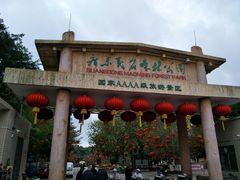 -广东茂名森林公园