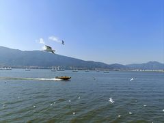 -海埂大坝
