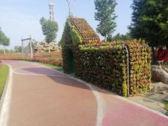 -羊亭河湿地公园