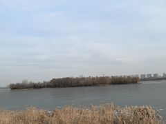 -丁香湖公园