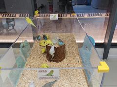 -怪兽屋·羊驼·猫咖·狗咖(俊华广场店)