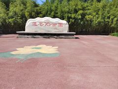 -莲花池公园