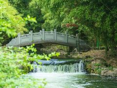-杭州植物园