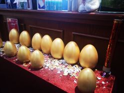 -东晨宝格丽品质造型