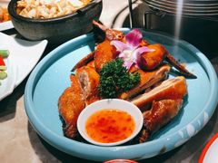 -新白鹿餐厅(金鹰新街口店)