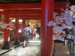 -蓝鲸湾汤泉(包河店)