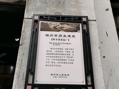 -野荸荠