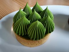 抹茶挞-猫里有甜