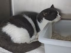 -爱侣宠医·鹦鹉专科·小型哺乳类·异宠专科(灵石路店)