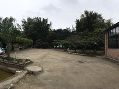 -香竹农庄•传统竹筒饭(十年店)