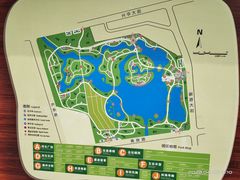 -大兴滨河森林公园