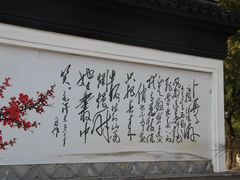 -香雪海