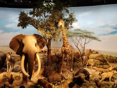 -陕西自然博物馆