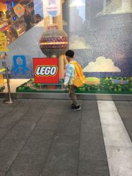 -乐高品牌旗舰店(人民广场店)