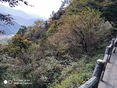 -王顺山国家森林公园