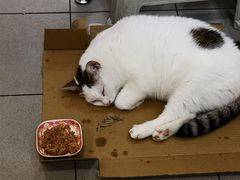 -新记餐厅(香槟大厦店)