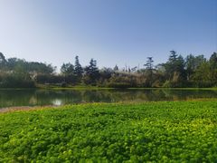 -桤木河湿地公园