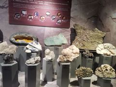 -正佳自然科学博物馆