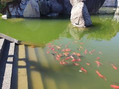 -崇圣寺三塔文化旅游区