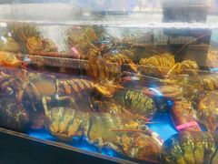 -盒马X会员店(王府井奥莱UP TOWN店)