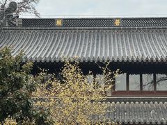 -灵谷景区