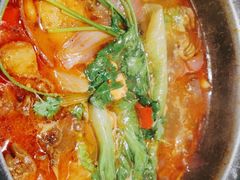 -禄婶鸡煲·打边炉