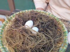 -文昌小老弟糟粕醋