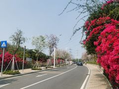 -小南山公园