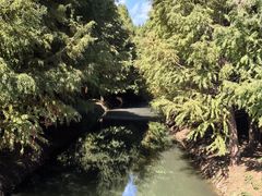 -捞渔河湿地公园