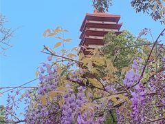 -宝光寺