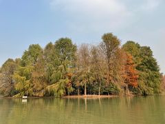 -上海海湾国家森林公园