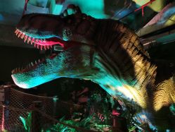 -恐龙探索乐园(磁器口店)