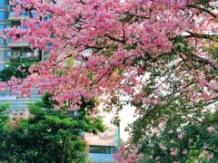 -宝能·all city(南山店)