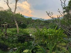 -四季酒店下午茶