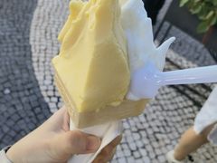 -柠檬车露(卖草地店)