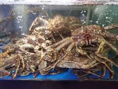 -蟹之国·精品蟹料理(极地店)